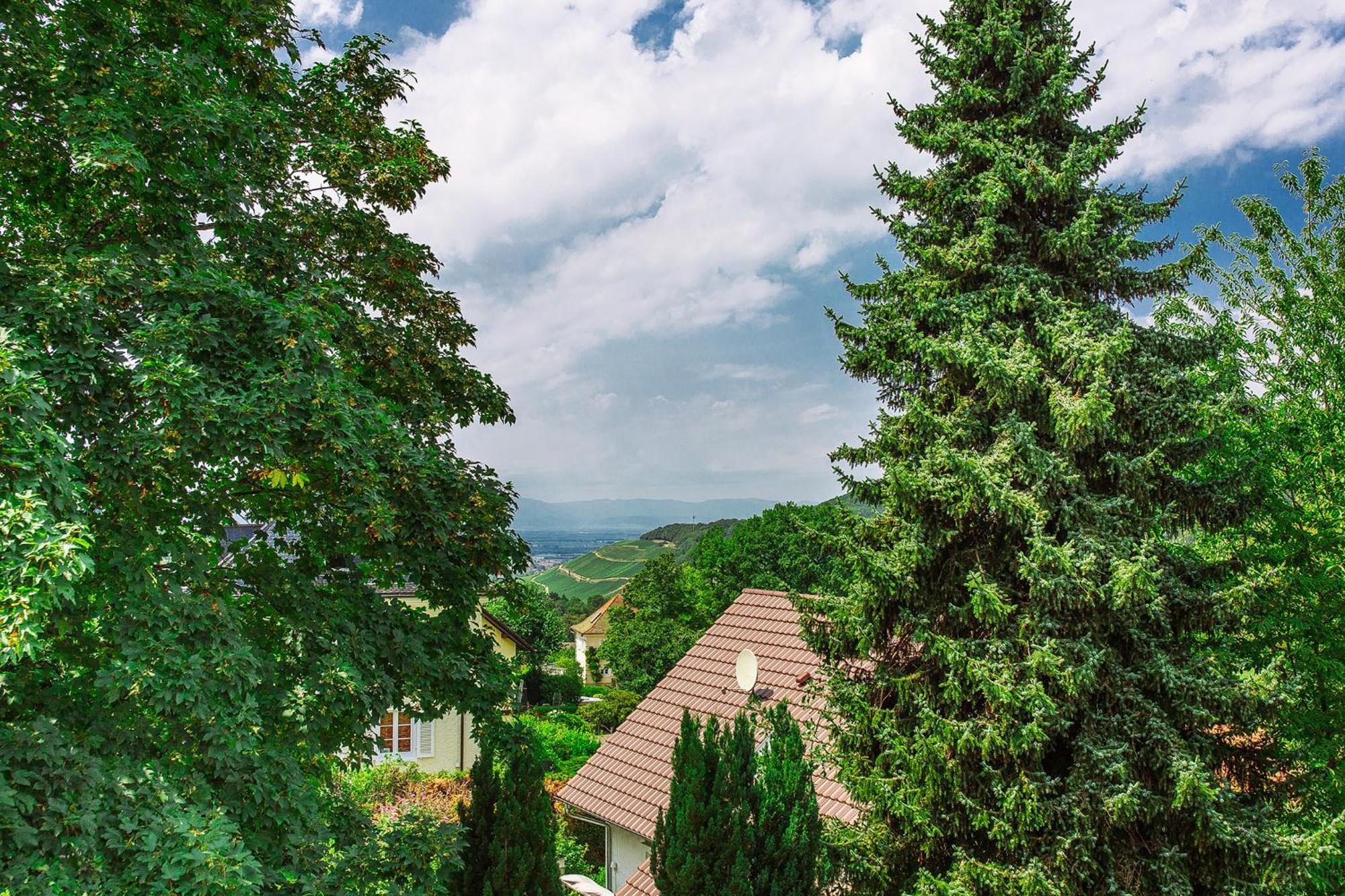 Apartment Am Tannenweg Badenweiler Buitenkant foto